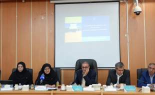 رکورددار بلامنازعِ صادرات شوینده در ایران: ۸۰ درصد صادرات کشور متعلق به ماست!